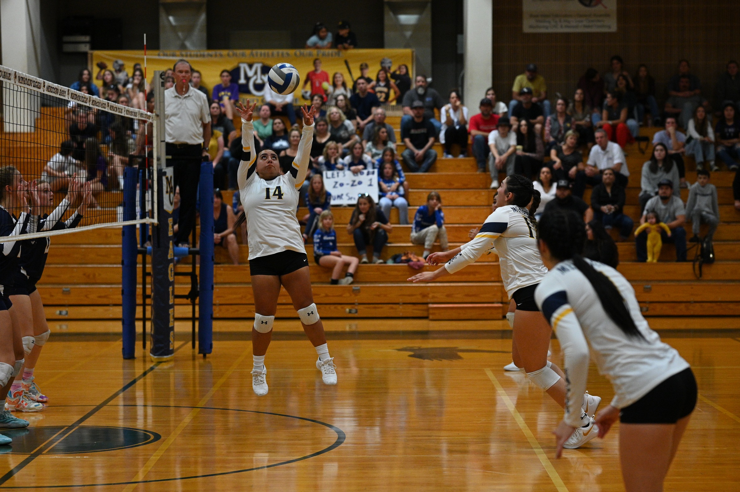 Volleyball's Historic Season Ends